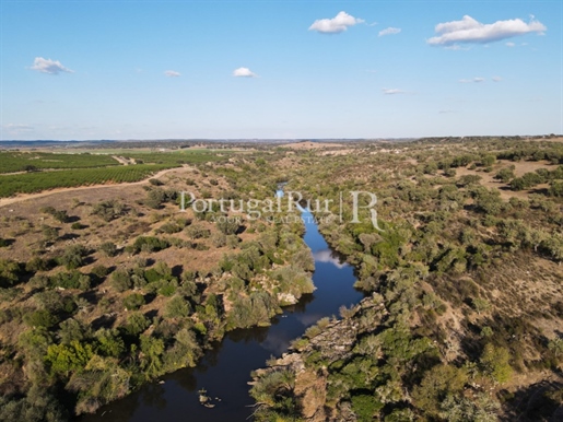 Estate with 238 hectares in Mora