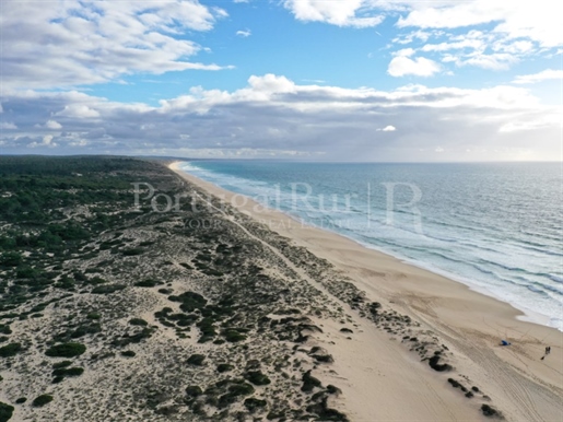 Plot with approved project in Comporta