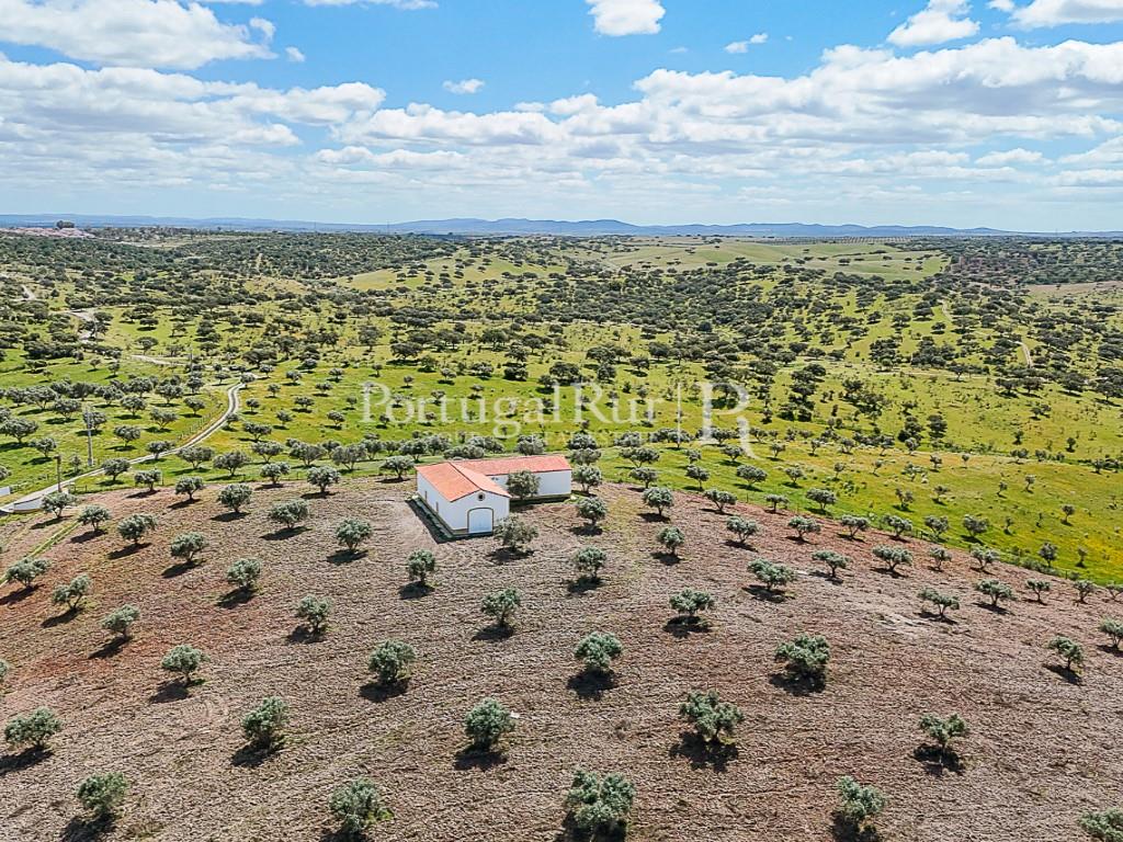 Estate in Alqueva with Approved Tourism Project (T10) and 8.5 Hectares in the Heart of Alentejo