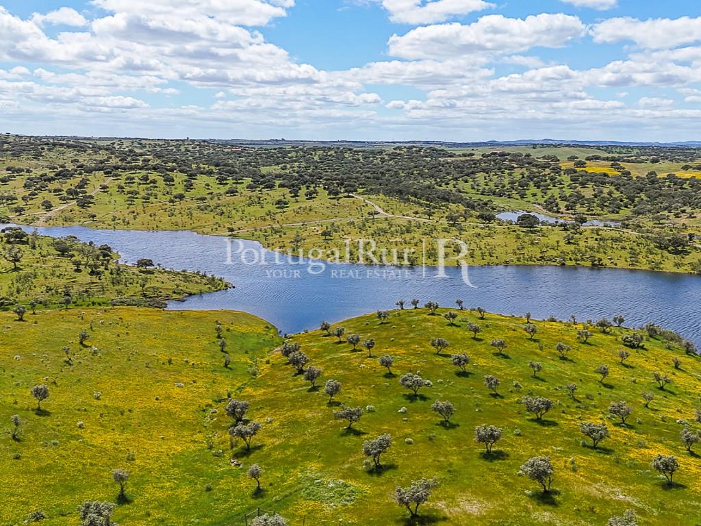 Estate in Alqueva with Approved Tourism Project (T10) and 8.5 Hectares in the Heart of Alentejo