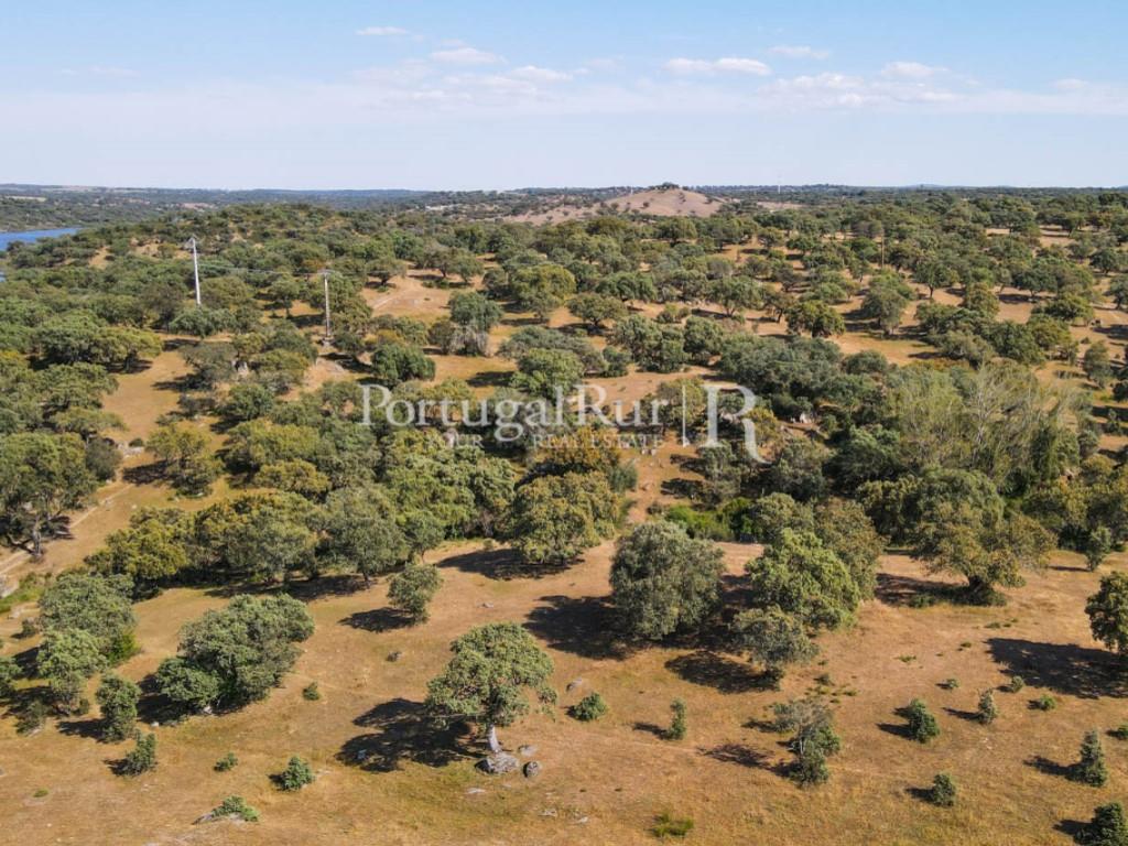 Herdade do Azinhal with 80 hectares