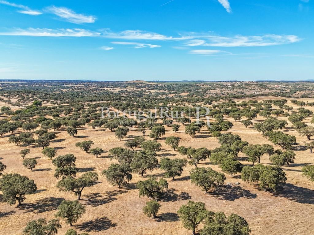 Herdade do Azinhal with 80 hectares