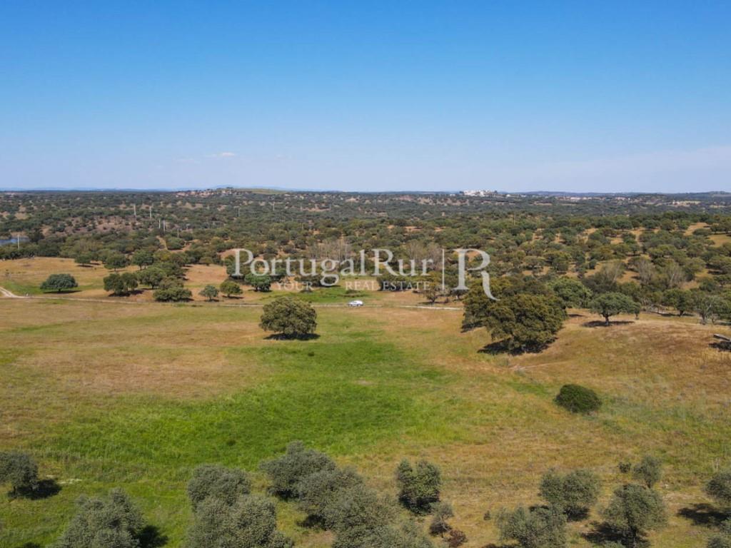 Herdade do Azinhal with 80 hectares