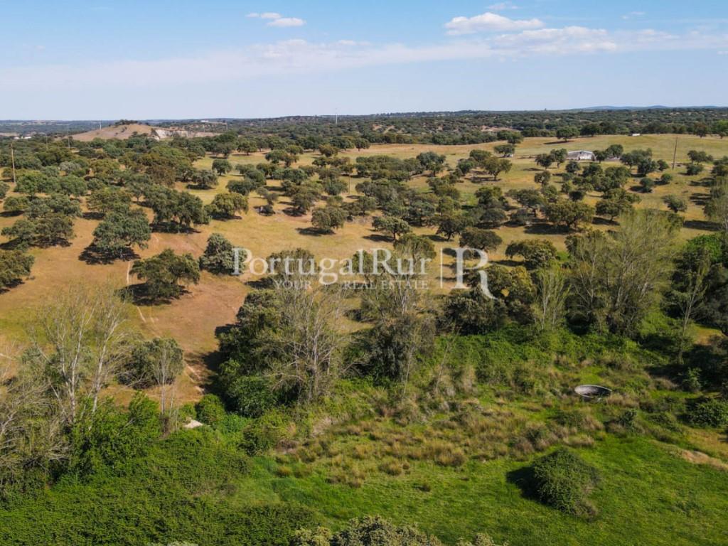 Herdade do Azinhal with 80 hectares