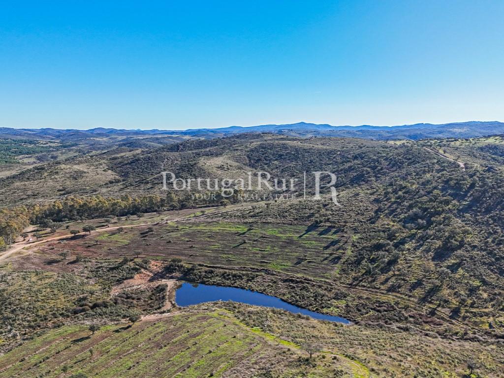 Herdade de Caça com 1000 Hectares + 4 Apartamentos + Anexos