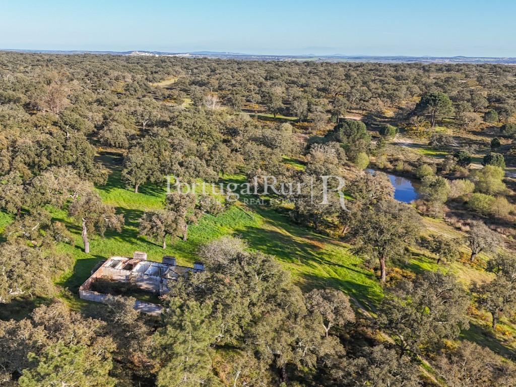 Property with 102 hectares, district of Portalegre