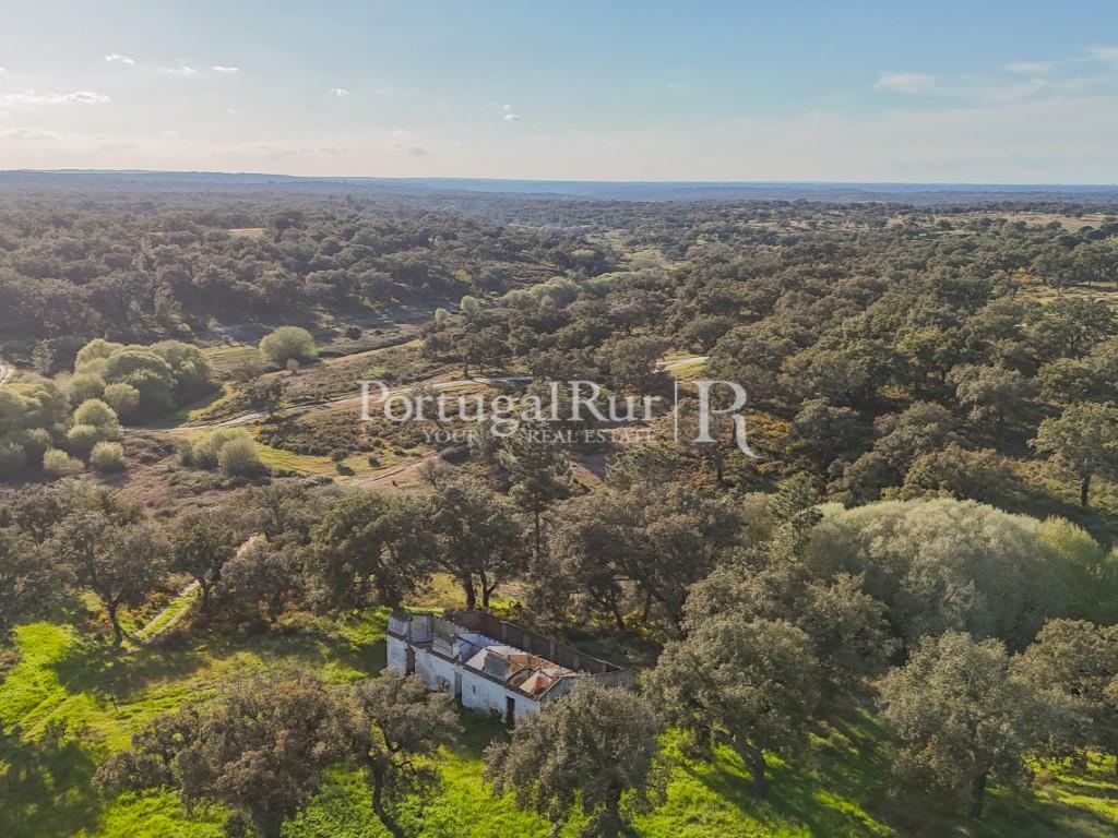 Property with 102 hectares, district of Portalegre