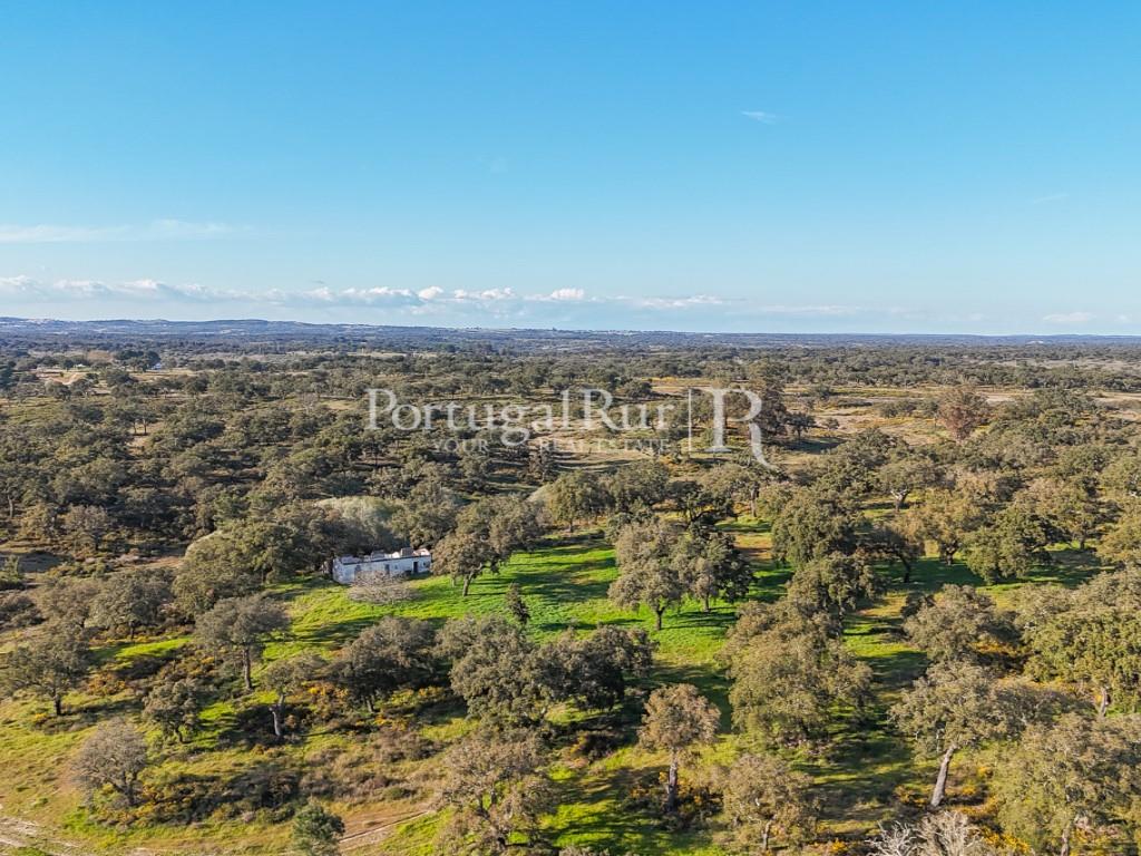 Property with 102 hectares, district of Portalegre