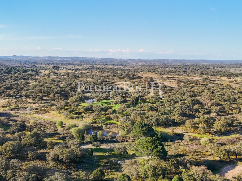 Property with 102 hectares, district of Portalegre