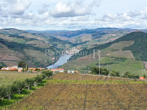 Vignoble avec vins primés et possibilité de construction surplombant le fleuve Douro