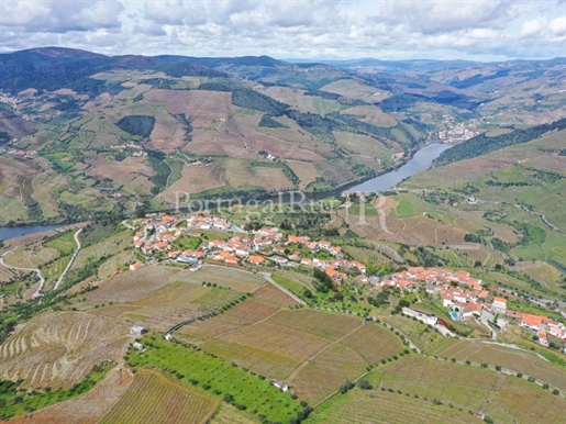 Vinha de vinhos premiados e possibilidade de construção com vista rio Douro