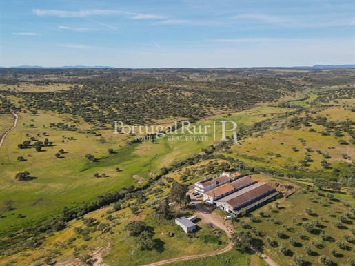 Estate with 380 hectares near Castelo Branco