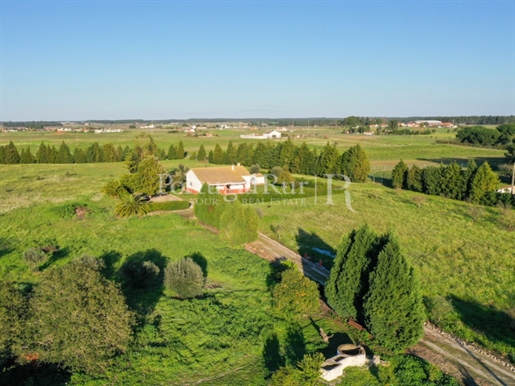 3.6 ha farm in the Montijo region, 30 minutes from Lisbon