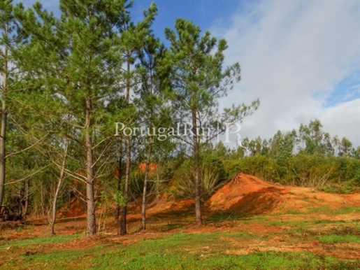 Terreno em Quinta da Sardinha