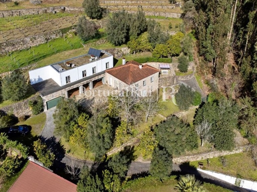 Farm with swimming pool and fully restored house