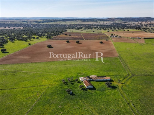 Farm of 33 hectares with house and annexes