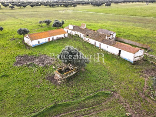Farm of 33 hectares with house and annexes