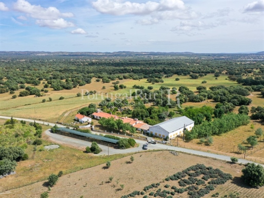 Herdade com 859 hectares perto do Alqueva - distrito de Évora