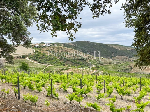 Quinta with vineyards in Alto Douro Vinhateiro