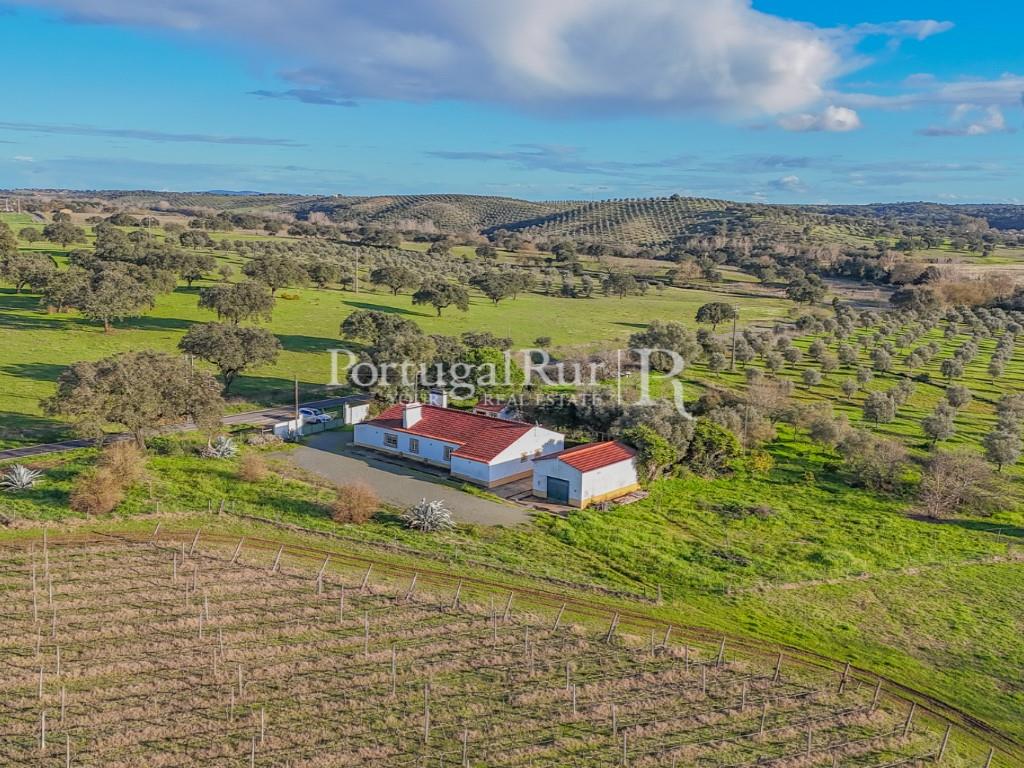 Farm with 7 hectares in the area of Portalegre