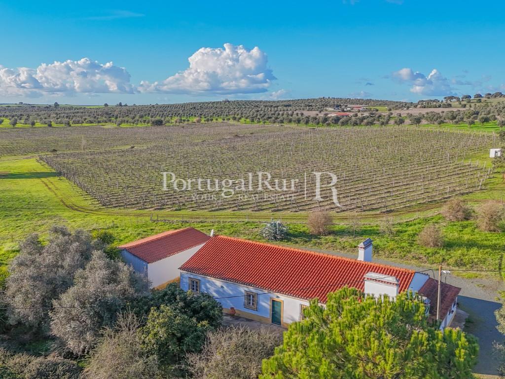 Farm with 7 hectares in the area of Portalegre