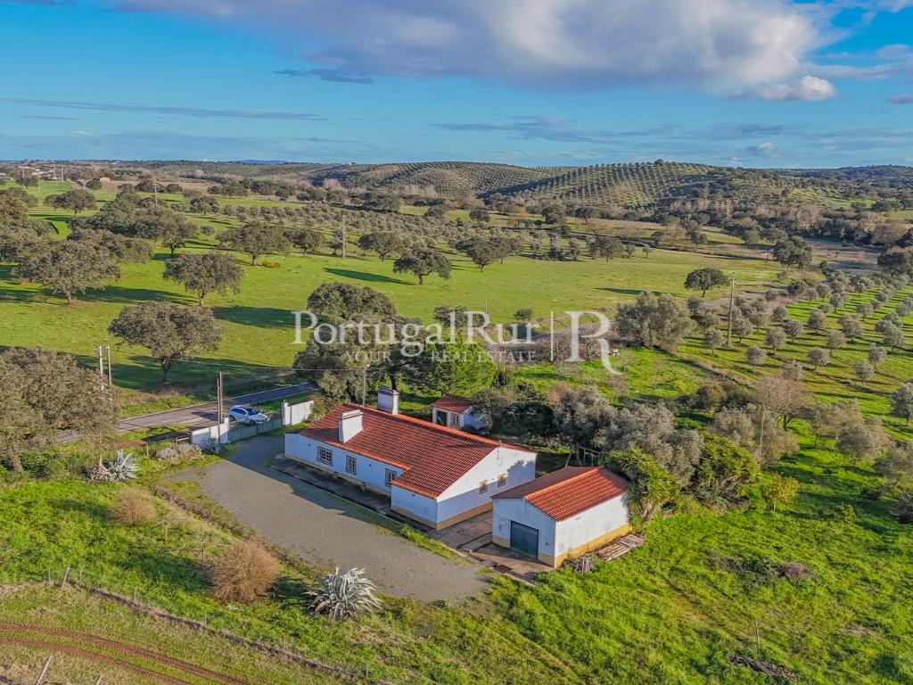 Farm with 7 hectares in the area of Portalegre