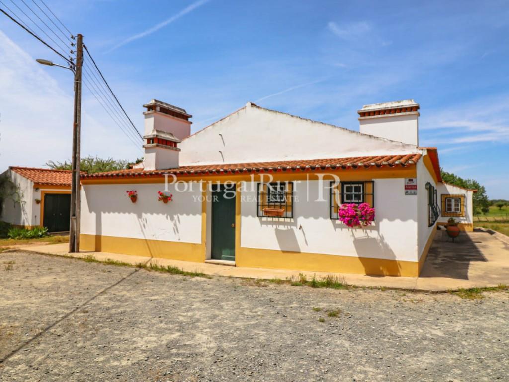 Farm with 7 hectares in the area of Portalegre
