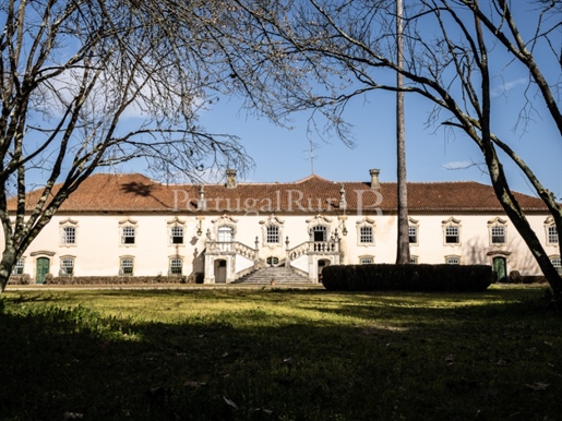 Palais du XVIIIe siècle situé dans un magnifique domaine de 43 hectares dans la région d'Aveiro