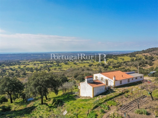7,6-Hectare farm and a 3-bedroom house