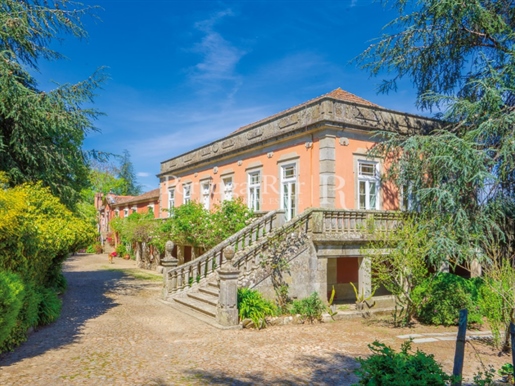 Historical Farm in Vila Real