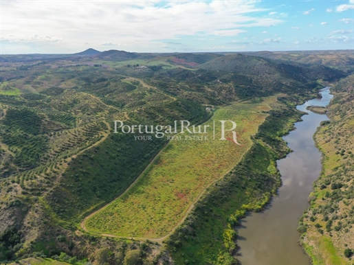 Hunting estates with 1300 hectares, next to the Guadiana river