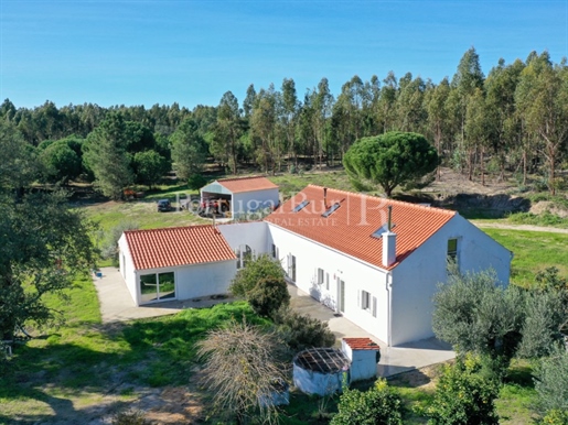 Farm with 10 hectares with lots of trees, 1 hour from Lisbon