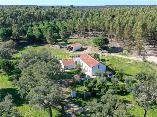 Quinta com 10 hectares muito arborizada, a 1 hora de Lisboa