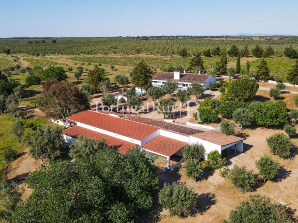 Property with 18 ha with 2 houses, vineyard and olive grove in Avis area