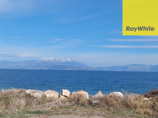 292785 - Lykoporia - Evrostini, land plot for sale, 10m from the beach, 3.000 sq.m., €380.000