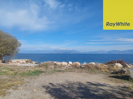292785 - Lykoporia - Evrostini, land plot for sale, 10m from the beach, 3.000 sq.m., €380.000