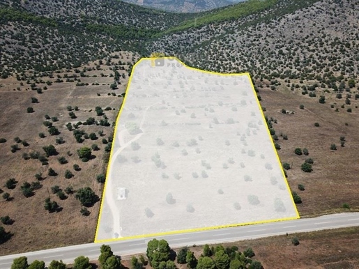 (For Sale) Land Large Land || Argolida/Ermioni - 170.000 Sq.m, 400.000€