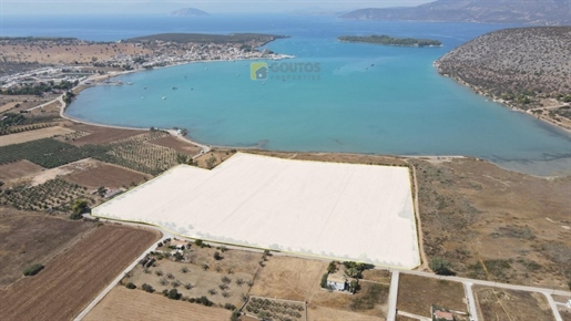 (For Sale) Land Large Land || Argolida/Kranidi - 80.000 Sq.m, 10.000.000€