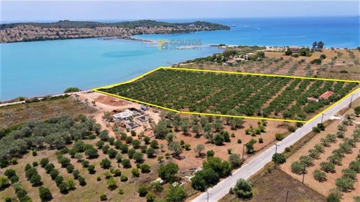 496682 - Land plot For sale, Kranidi, 26.000 sq.m., €4.000.000
