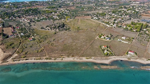 (For Sale) Land Large Land || Argolida/Kranidi - 53.500 Sq.m, 5.000.000€