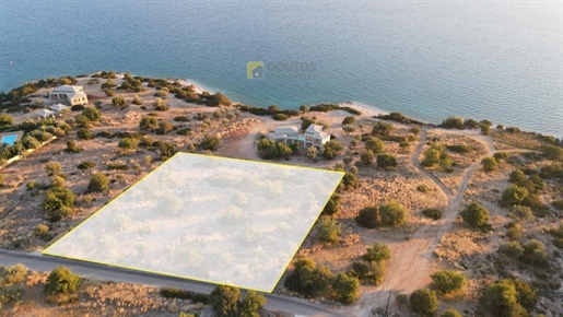 (À vendre) Parcelle de terrain utilisable || Préfecture d’Argolide/Kranidi - 4.023 m², 480.000€
