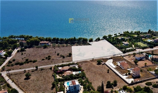497440 - Land plot For sale, Kranidi, 9.000 sq.m., €3.500.000