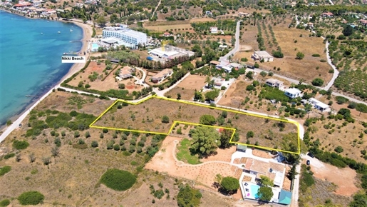 (For Sale) Land Plot || Argolida/Kranidi - 6.000 Sq.m, 300.000€
