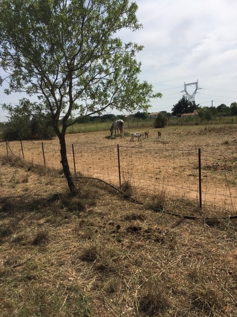 Fenced agricultural land 6500 m2