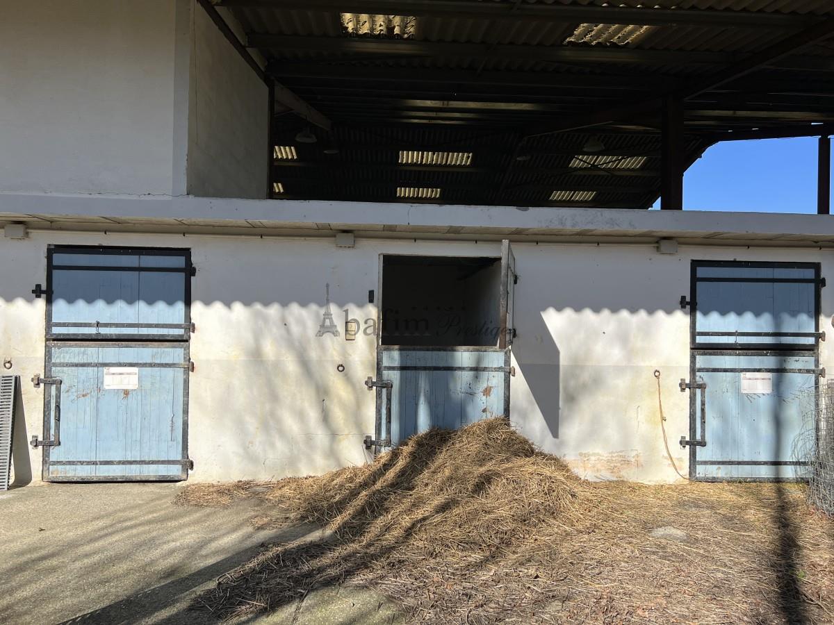 Reitgrundstück 4ha