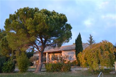 Mas Provençal en Pierre de Fontvieille sur jardin arboré