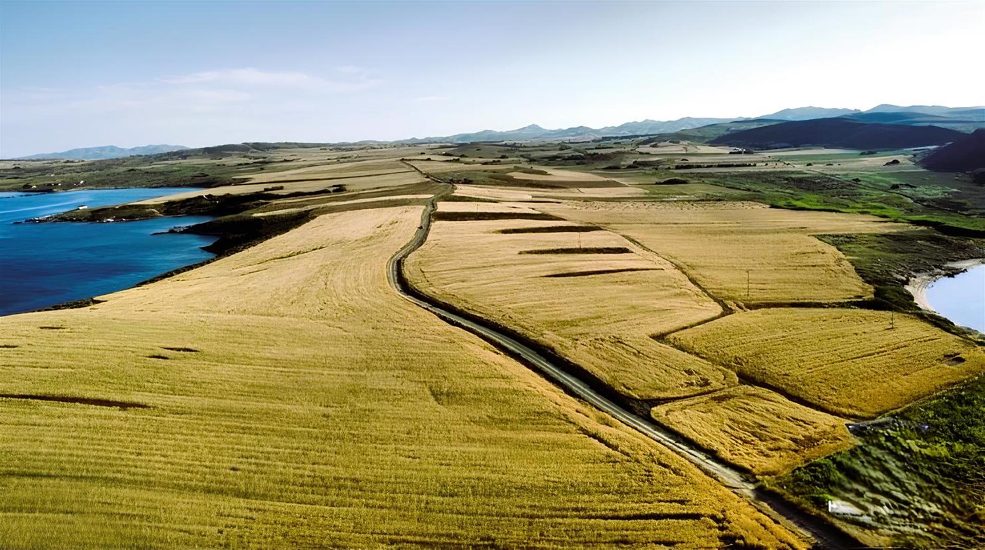 Unique area of 60acres next to the sea