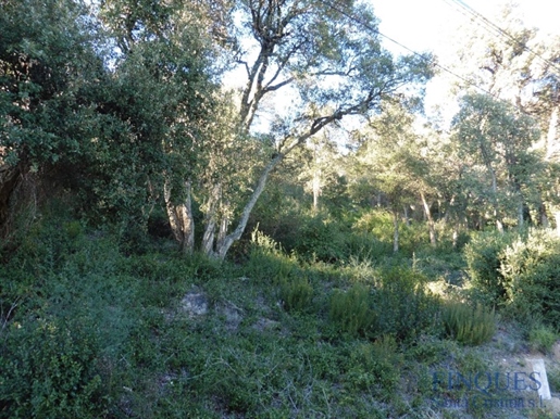 Terrain avec Veu sur la mer à vendre à Santa Cristina d'Aro