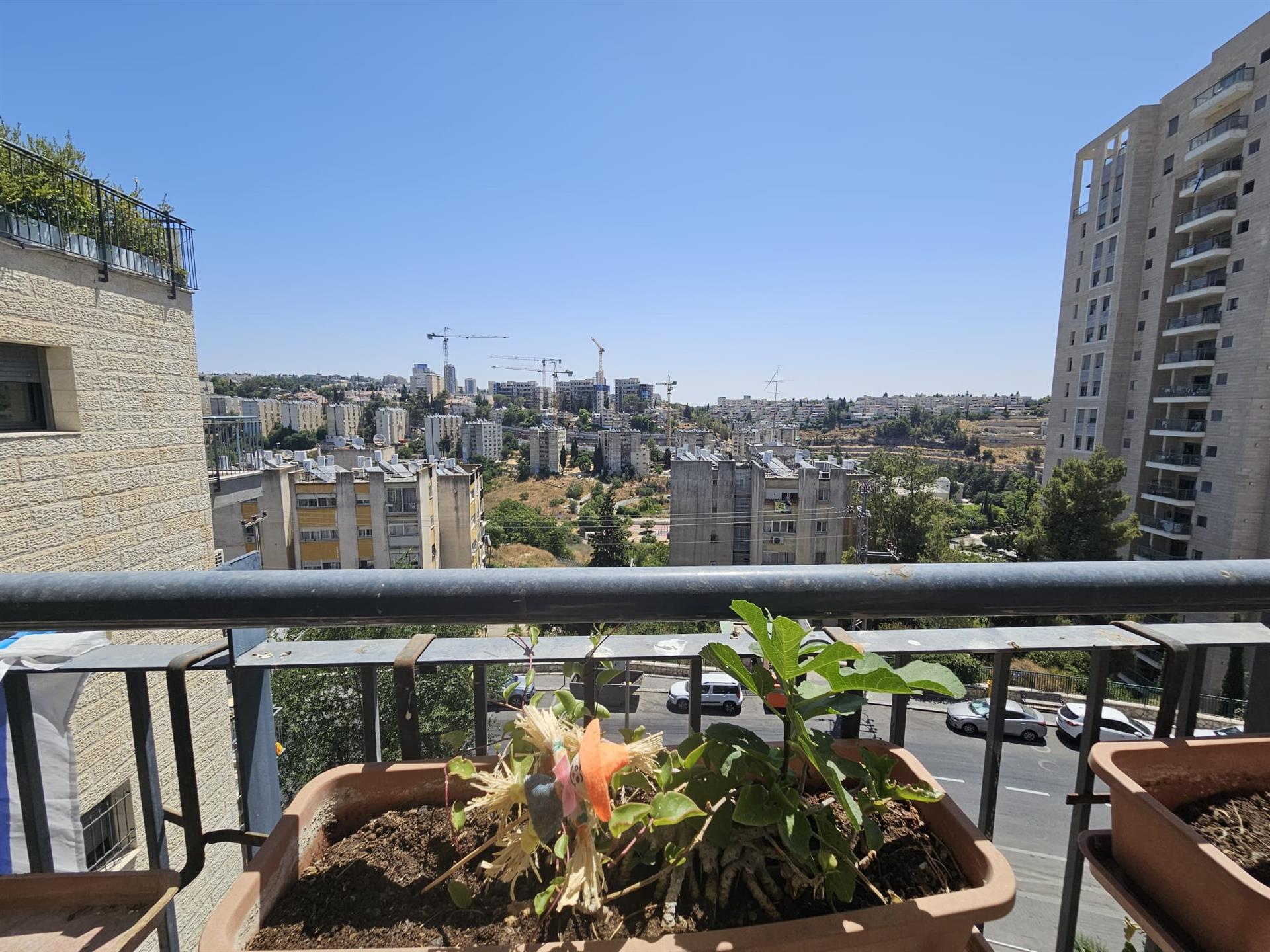 Lovely renovated apartment + view
