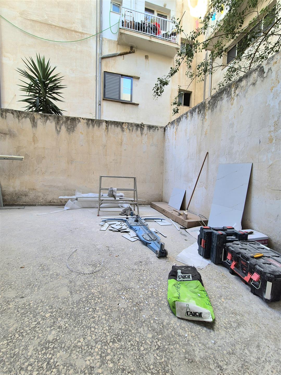 Totalmente renovado w / patio trasero privado